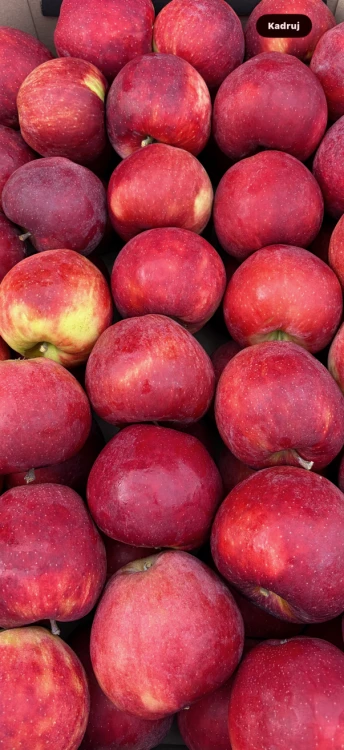 Red Jonaprince.PNG